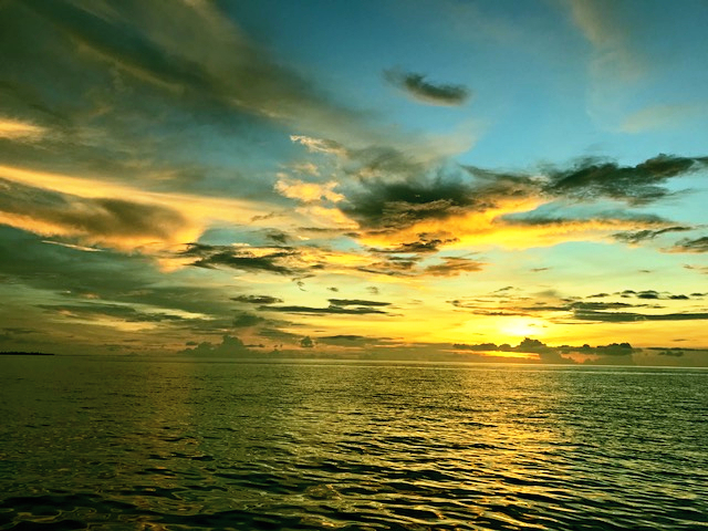 Learn more about the Reflexology research